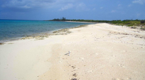 Inagua