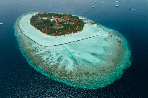 Paradise Island